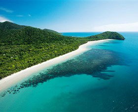 Cape Tribulation, Daintree National Park - Attractions Sydney 0