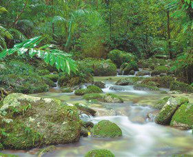 Mossman Gorge, Daintree National Park - Attractions Sydney 0