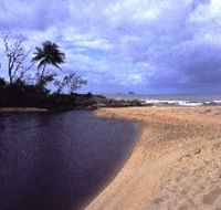 Russell River National Park - Attractions Sydney