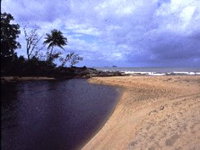 Book Bramston Beach Accommodation Vacations Attractions Sydney Attractions Sydney