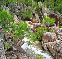 Crows Nest National Park - Attractions Sydney