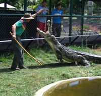 Snakes Downunder Reptile Park and Zoo - Attractions Sydney