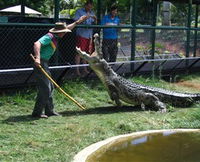 Book Childers Accommodation Vacations Attractions Sydney Attractions Sydney