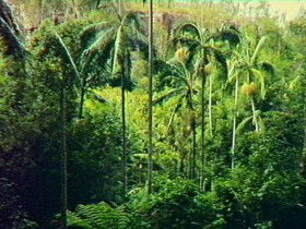 Yarrol QLD Attractions Sydney
