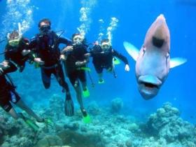 Gotham City Dive Site - Attractions Sydney 0