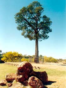 Yowah QLD Attractions Sydney