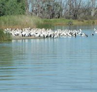 Lake Ross - Attractions Sydney