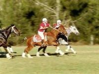 Book Warwick Accommodation Vacations Attractions Sydney Attractions Sydney