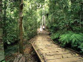 Malanda QLD Attractions Sydney