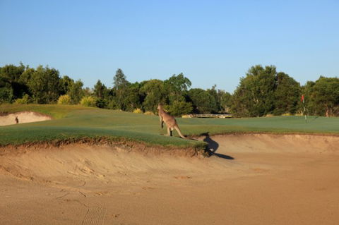 Pelican Waters Golf Club - Attractions Sydney 6