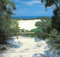 Lake Wabby Track - Attractions Sydney