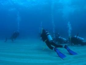 Child Island Dive Site - Attractions Sydney 0