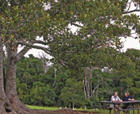 Yandilla QLD Attractions Sydney