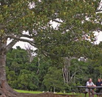 Ravensbourne National Park - Attractions Sydney