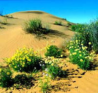 Simpson Desert National Park - Attractions Sydney