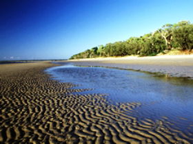 Kinkuna Section - Attractions Sydney 0