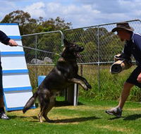 Lawdogs Australia - Attractions Sydney