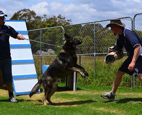 Lawdogs Australia - Attractions Sydney 0