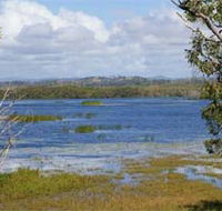 Lake Barfield - Attractions Sydney