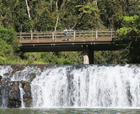 Malanda Falls Conservation Park - Attractions Sydney 0