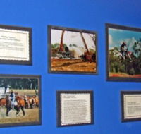 Town Hall Photographic Display - Attractions Sydney