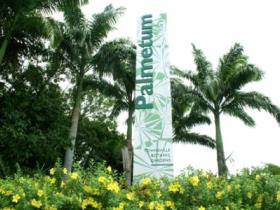 Townsville Palmetum - Attractions Sydney 0