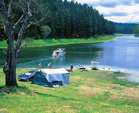 Danbulla National Park And Danbulla State Forest - Attractions Sydney 0