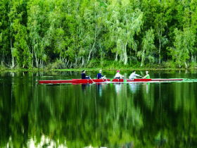 Pioneer Park And Ross River - Attractions Sydney 0