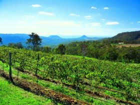 Preston Peak Wines - Attractions Sydney 0