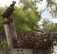 Blackall Sculpture Trail - Attractions Sydney