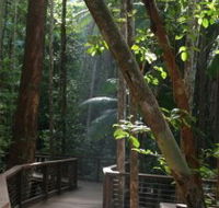 Basin Lake Track - Attractions Sydney