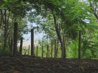 Toomulla Beach