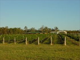 Kingsley Grove Estate - Attractions Sydney 0