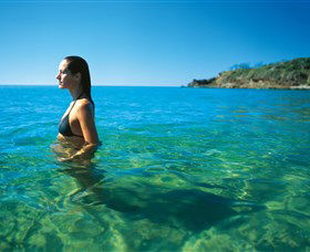 Agnes Water Beach - Attractions Sydney 0
