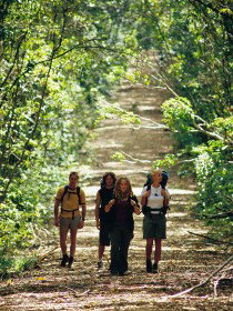 Wet Tropics Great Walk - Attractions Sydney 0