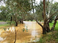 Saddliers Waterhole and Hamburg Creek