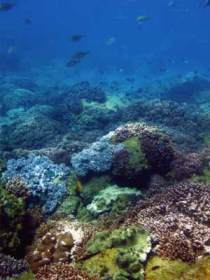 Bargara QLD Attractions Sydney