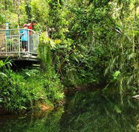 Djiru National Park - Attractions Sydney