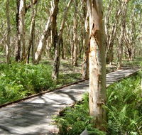 The Kommo Toera Trail - Attractions Sydney