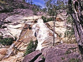 Emerald Creek Falls - Attractions Sydney 0
