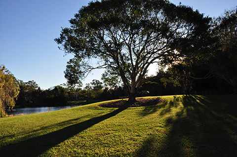 Tondoon Botanic Gardens - Attractions Sydney 4