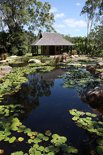 Tondoon Botanic Gardens - Attractions Sydney 8