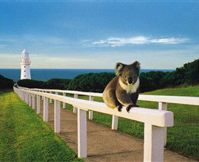 Cape Otway VIC Attractions Sydney