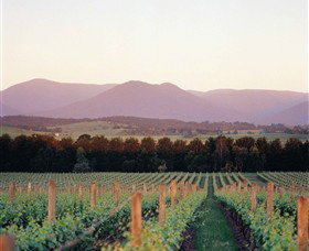 Coldstream VIC Attractions Sydney