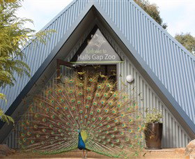 Halls Gap Zoo - Attractions Sydney 0