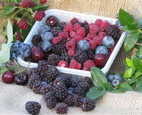 Bright Berry Farms - Attractions Sydney 0