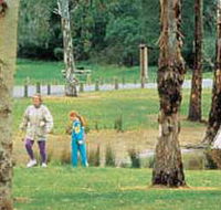 Westerfolds Park - Attractions Sydney