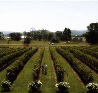Rochford Wines - Attractions Sydney