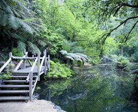 Alfred Nicholas Gardens - Attractions Sydney 0