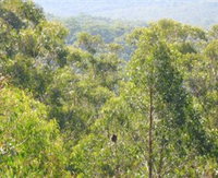Bunyip State Park